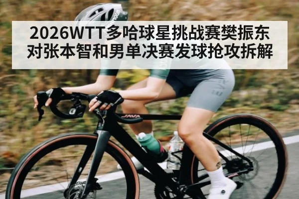 2026WTT多哈球星挑战赛樊振东对张本智和男单决赛发球抢攻拆解
